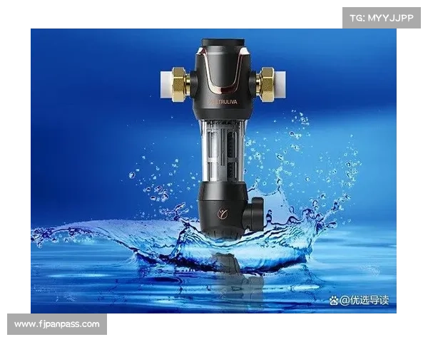 全面揭示葡萄牙球队别名由来及其深厚历史文化意义探析价值与传统 全面揭示葡萄牙球队别名由来及其深厚历史文化意义探析价值与传统