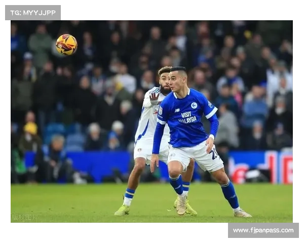 加的夫城足球队的联赛历程与辉煌历史探索